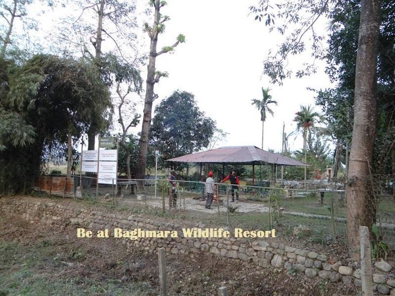 Baghmara Wildlife Resort Sauraha Bagian luar foto